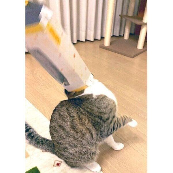 生後10カ月の頃のあめくん