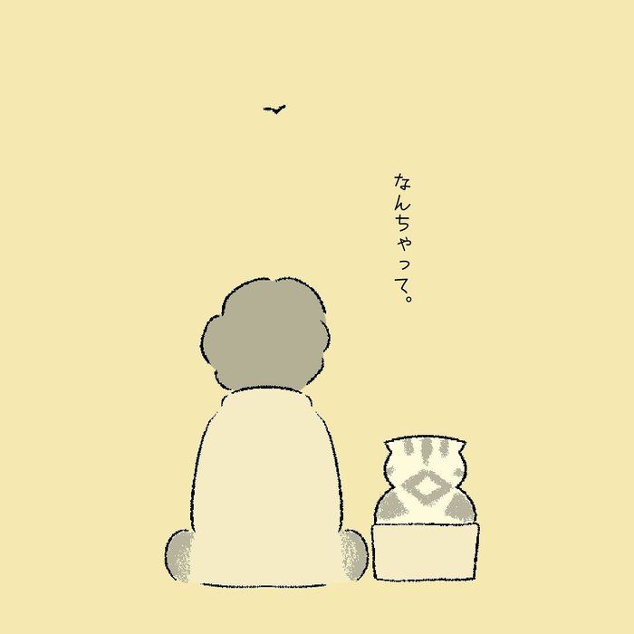 @tacos_cat