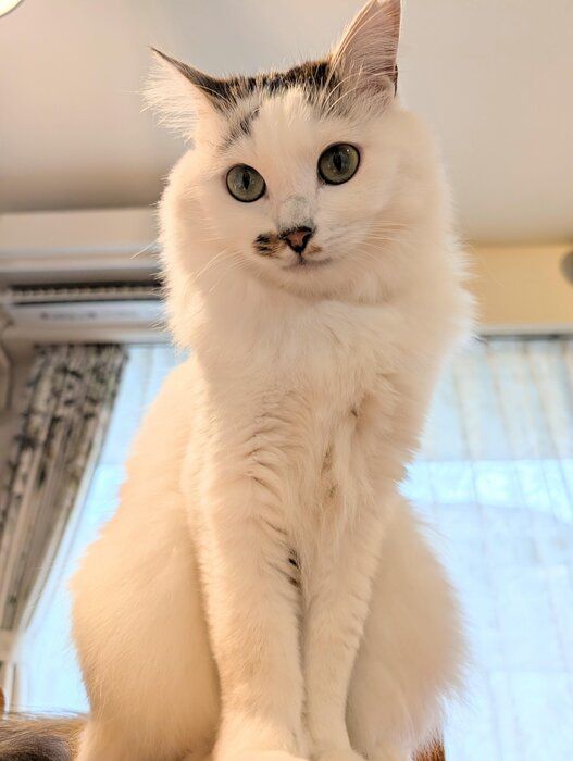 現在のリズちゃんの姿。