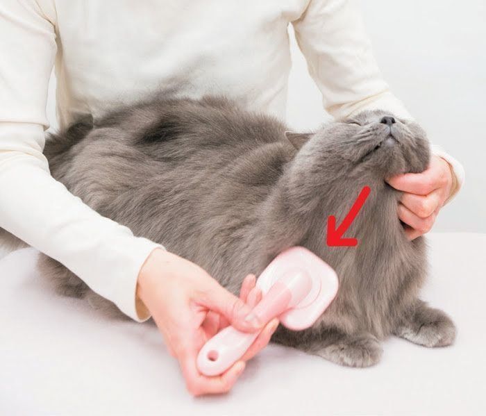 ステップ3②