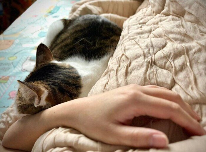 飼い主さんの隣で眠るブキくん