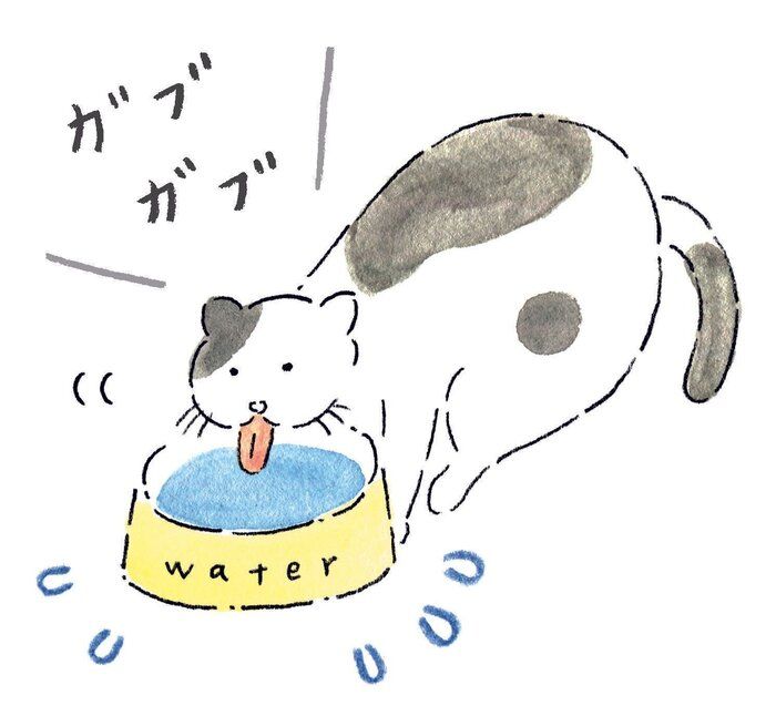イラスト/みやしたゆみ
