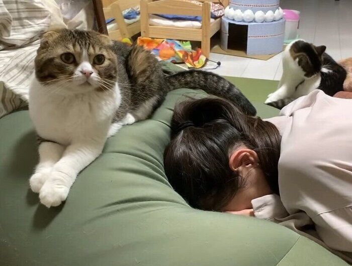 ママが心配な猫