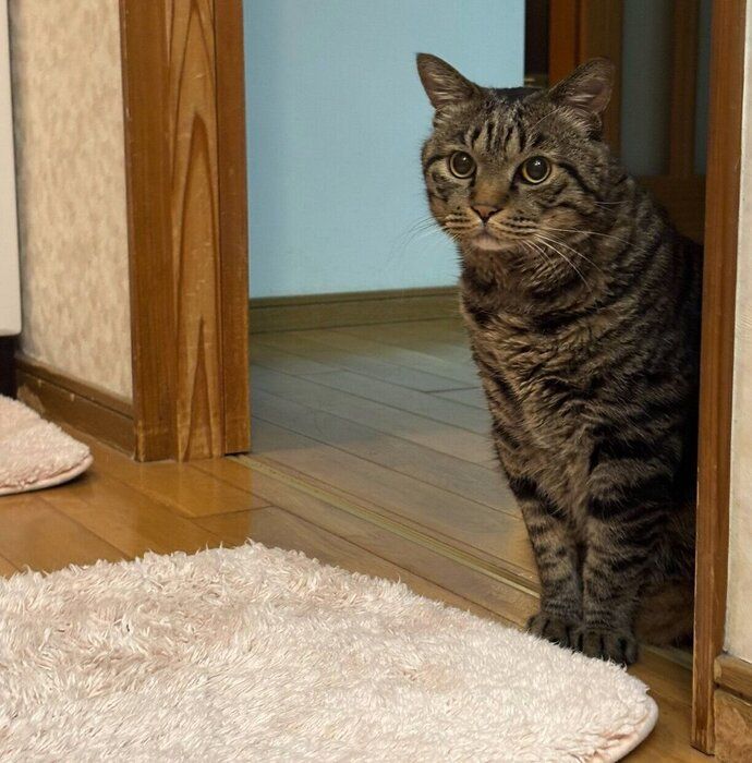 お風呂中のパパさんを心配そうに待つ虎三郎くん