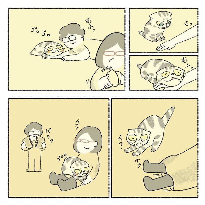 @tacos_cat
