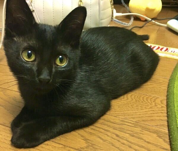 生後4カ月のこねろくくん