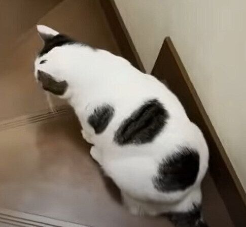 resized_50464575-3dbc-4f8f-