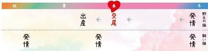 画像/2018年4月号『春は猫もソワソワ、ワクワク猫の恋劇場』