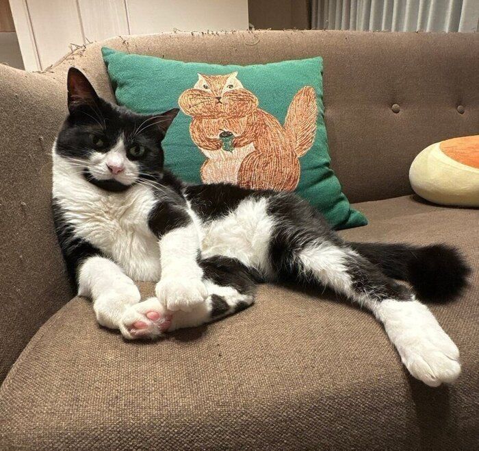 ソファにもたれかかり、くつろぐオリビアちゃん