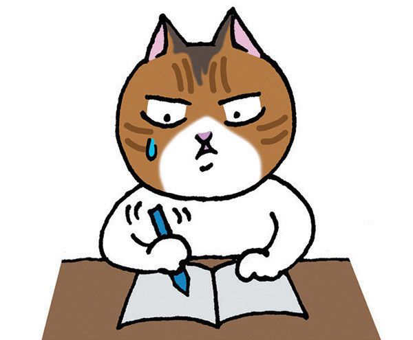 独学する猫