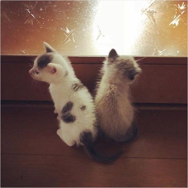 源と蒼