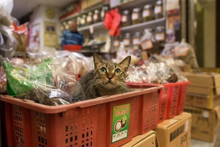 ©Masayuki Oki