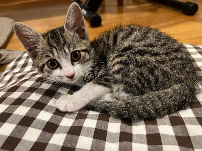 まだまだ小さくてかわいらしいベルちゃん