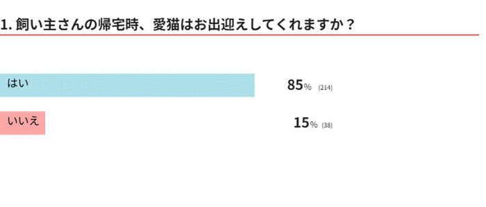 愛猫はお出迎えしてくれる?