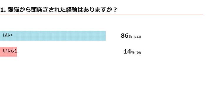 愛猫から頭突きされたことはある？