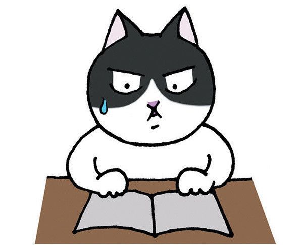 独学する猫