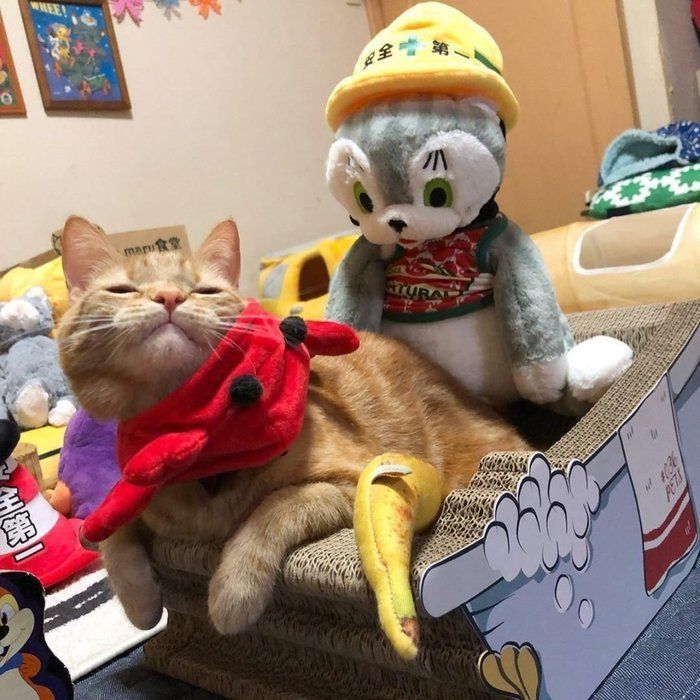 トローン♡