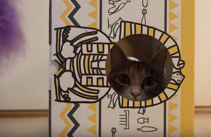 穴から覗く猫