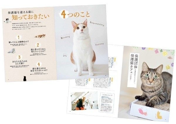 保護ねこのきもち 中面