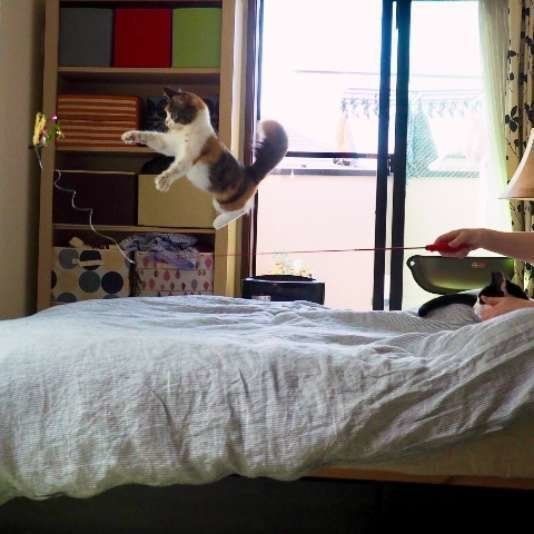 ジャンプ