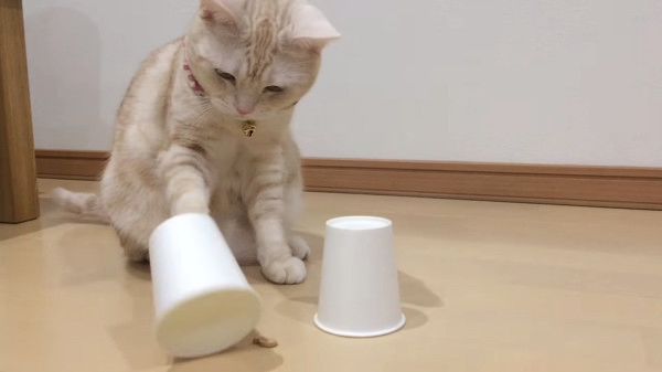 おやつどこ?