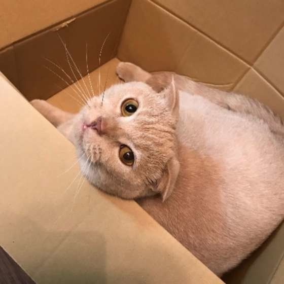 ゆずちゃん