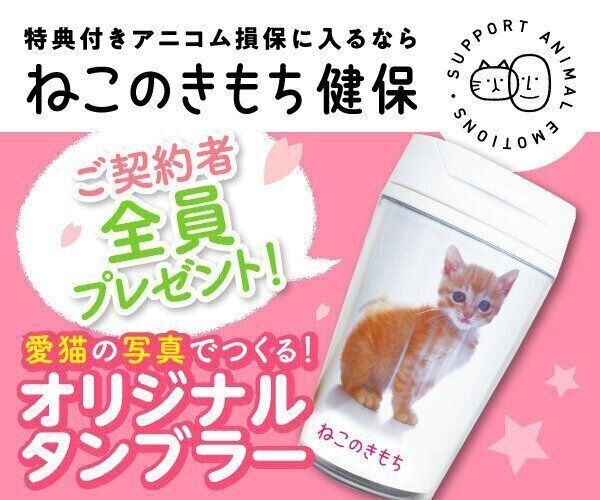 ねこのきもちweb Magazine それでもやっぱり猫が好き