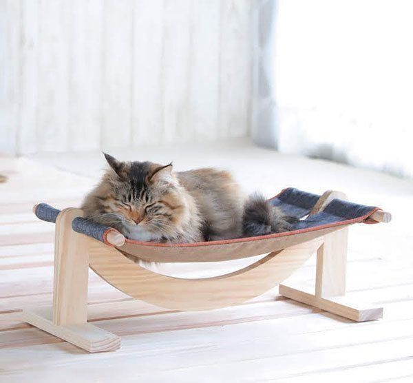 眠る猫