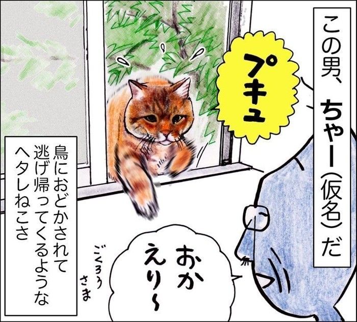 ちゃー