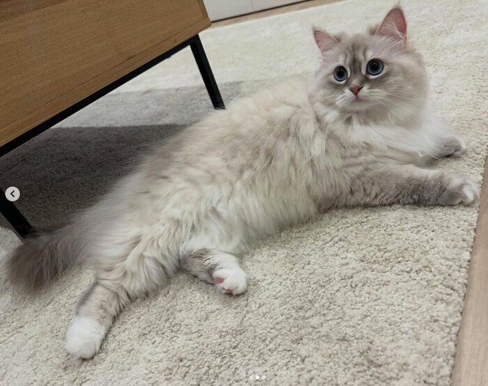 まったりする初ちゃん