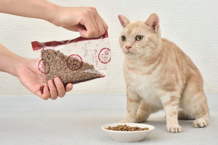 PR＞【グレインフリーの国産フード】おいしさと健康ケアの両立を