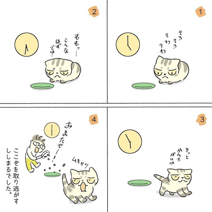 ©Taco
