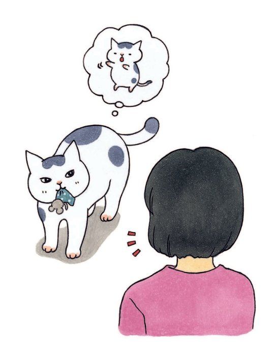 イラスト/こんの ゆか