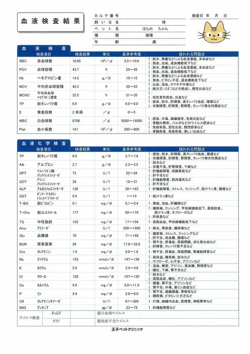 画像/2018年4月号「どうして必要? 結果の見方は? 血液検査がわかる!」