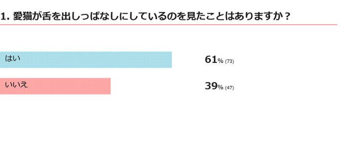 舌を出しっぱなしにする愛猫を見たことはある？