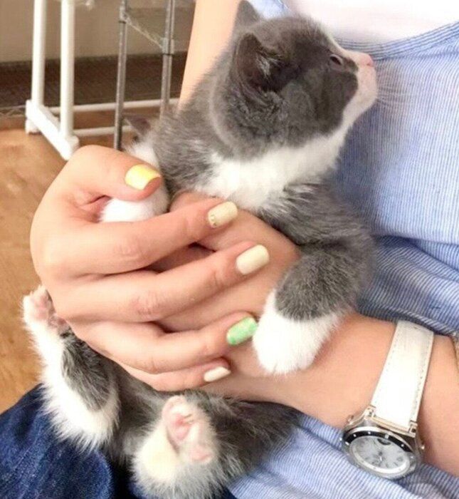 手の中にすっぽり収まるまるくん