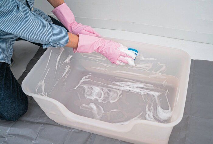 猫トイレをスポンジで洗う