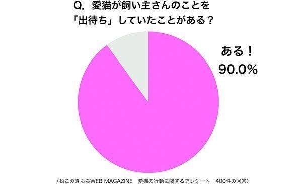 グラフ:愛猫が飼い主さんのことを「出待ち」していたことがある?