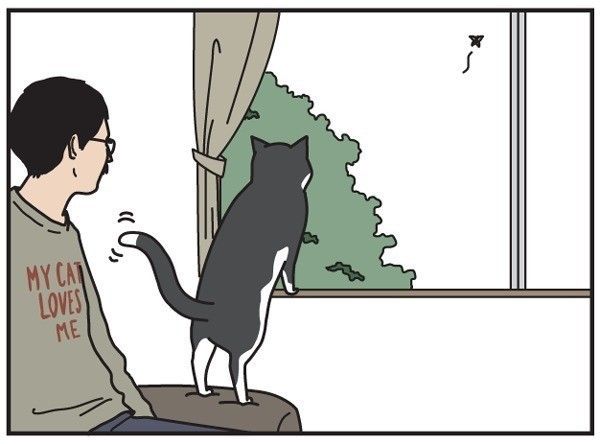 男の猫道 22話目