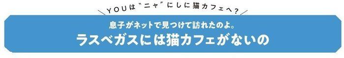 画像/ねこのきもち2018年11月号