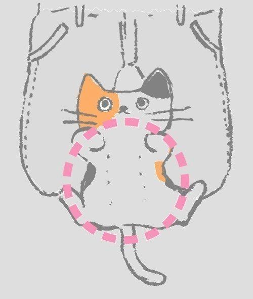 乳がん ねこ