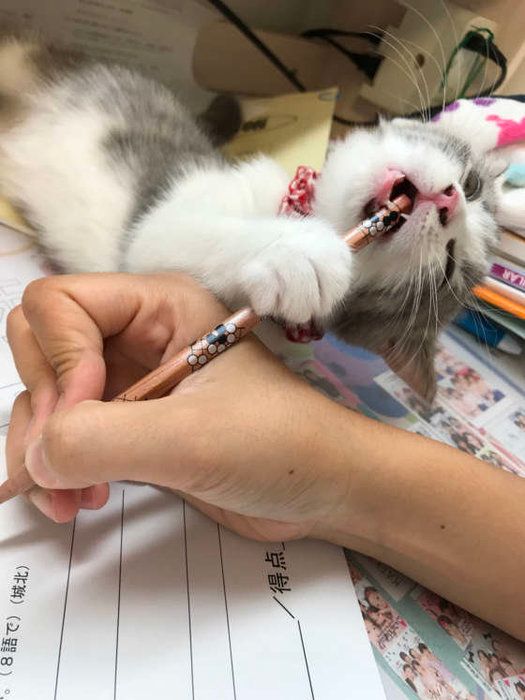 つまんない!