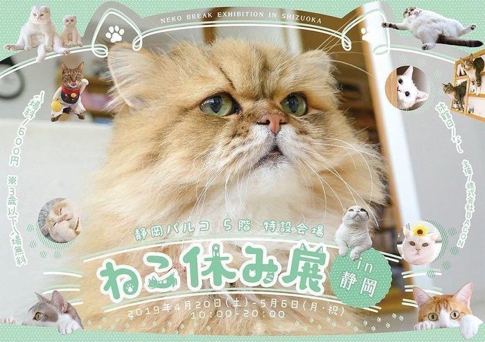 ねこ休み展in静岡のポスター