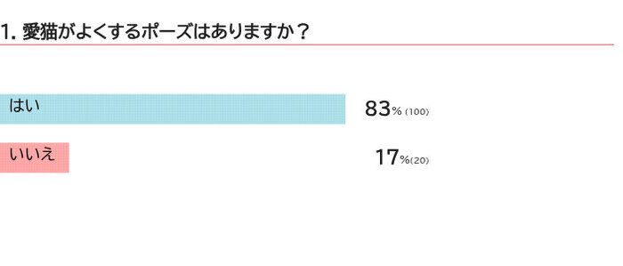 愛猫がよくするポーズは？