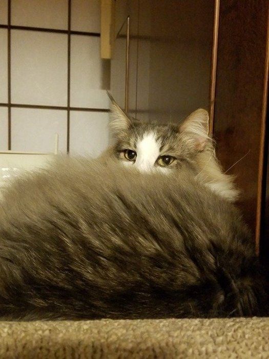 こんな表情