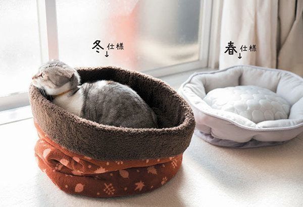 猫ベッド
