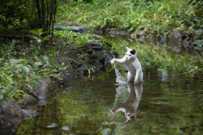 ©Masayuki Oki