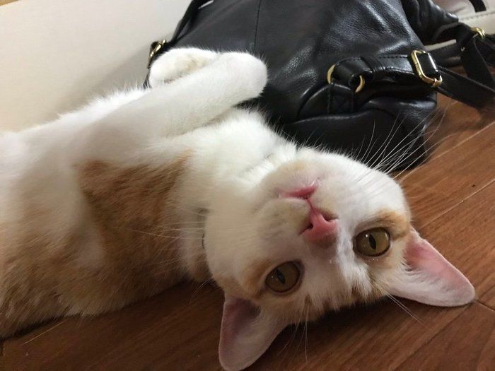 6年目をむかえた投稿写真