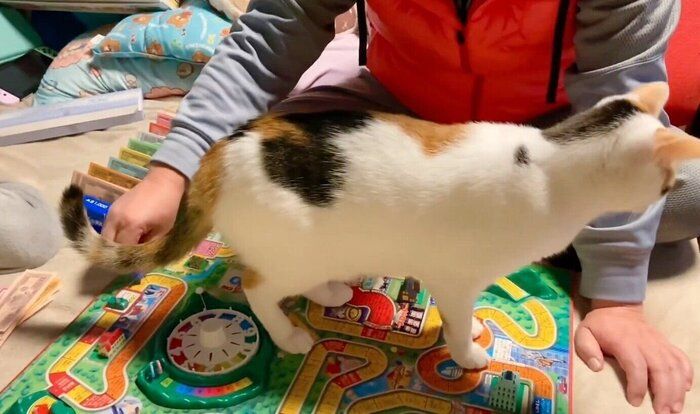 ゲームの邪魔をするおこげちゃん