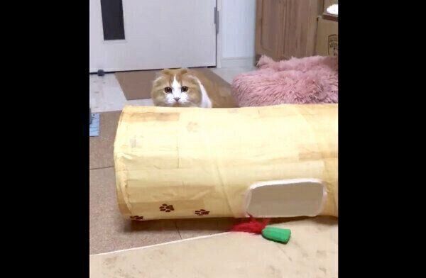 スタンバイするちのさん